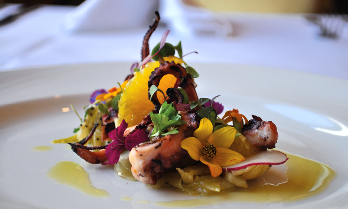 Foodies. Gourmet octopus served at The Clare