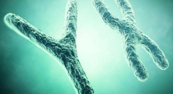 Can DNA Markers Called Telemores Predict Aging?