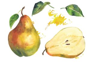 watercolor pears