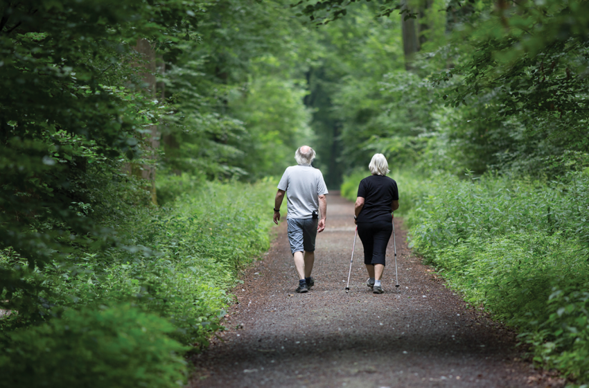 Elderly couple walking through the woods