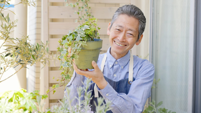 Asian man potting plant ikigai concept