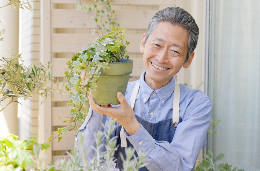 Asian man potting plant ikigai concept