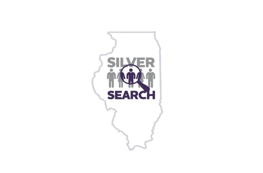  Silver Search Shines