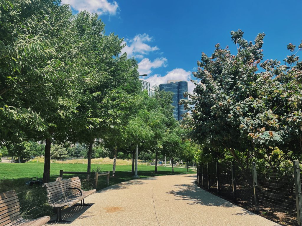 A light brown walking path in Maggie Daley Park in downtown Chicago. Benches and trees line the sides of the path, and a skyscraper stands in the distance.