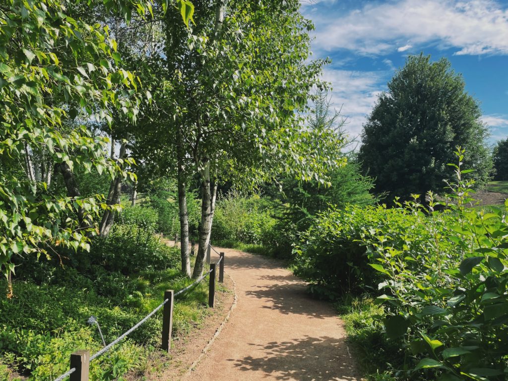 A gravel trail through a wooded area at Chicago Botanic Garden