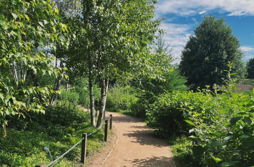 A gravel trail through a wooded area at Chicago Botanic Garden