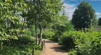 Walking for Fitness and Friendship