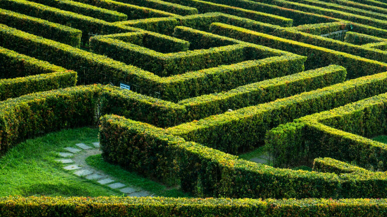 Hedge maze referencing the complexities of navigating medicare enrollment