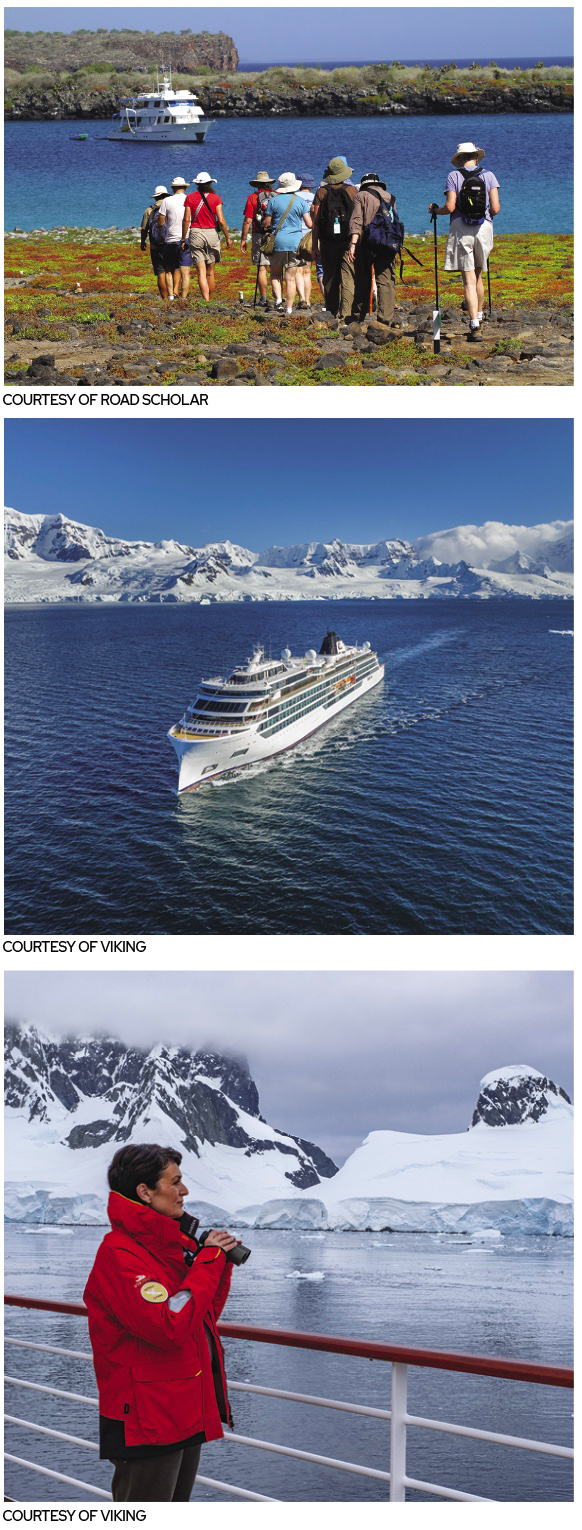 Winter cruises