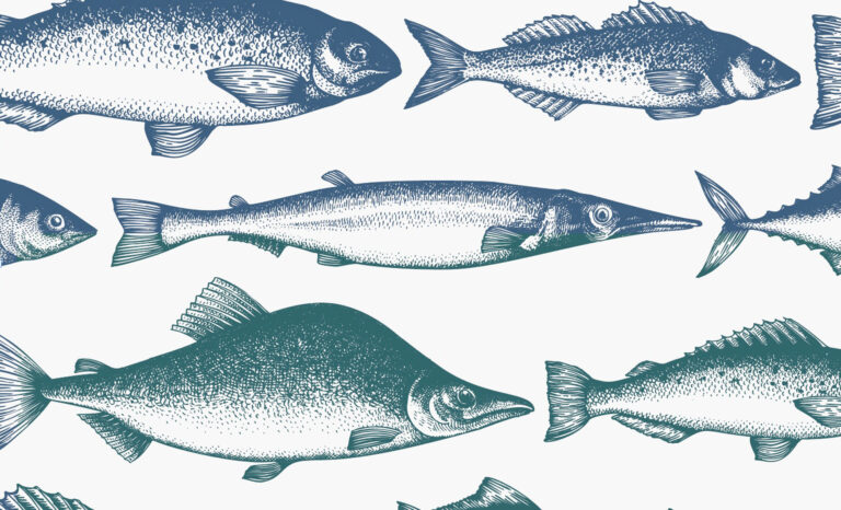 Illustration of a variety of fish. Fish is related to brain health.