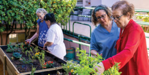 Seniors working in a stand up garden. Benefits of nature.