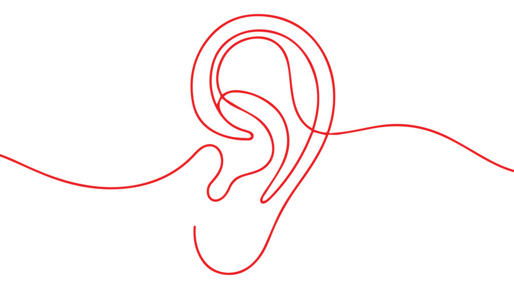 Drawing of an ear